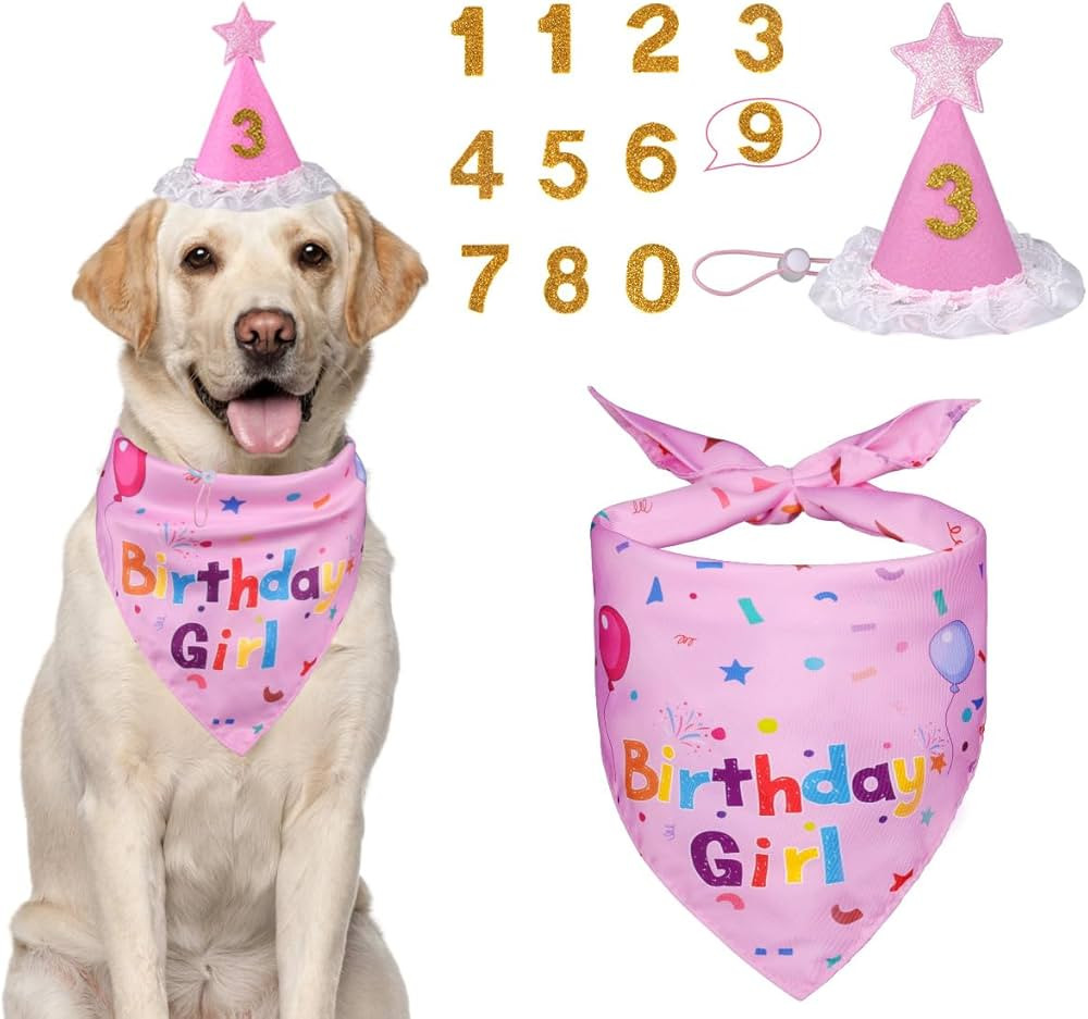 Dog Birthday Decorations, Dog Birthday Hat with Numbers for Large Medium Small,Pet Supplies (Pink... | Amazon (US)