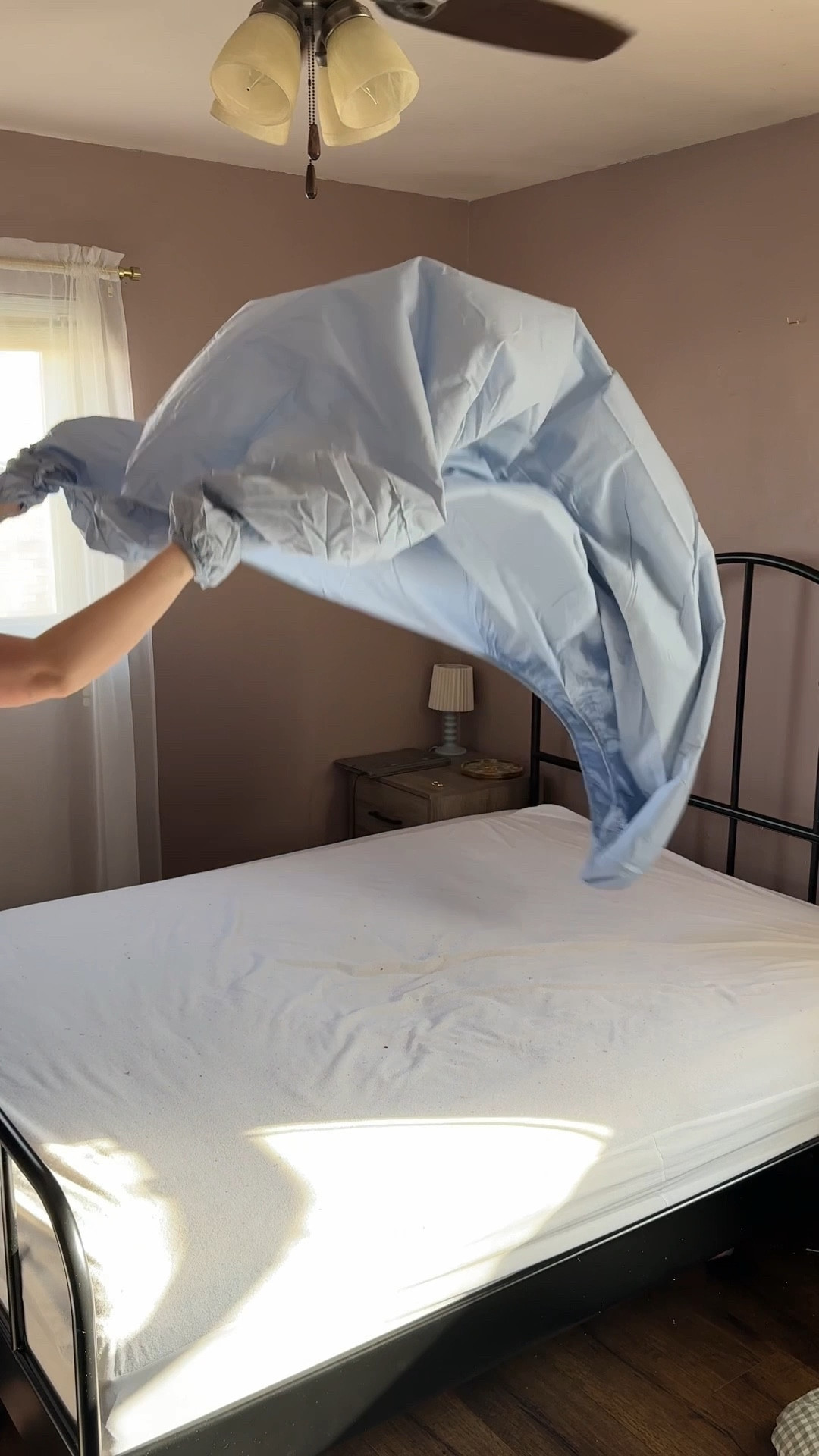 100% cotton sheets 🌿

#LTKGiftGuide #LTKFindsUnder50 #LTKHome