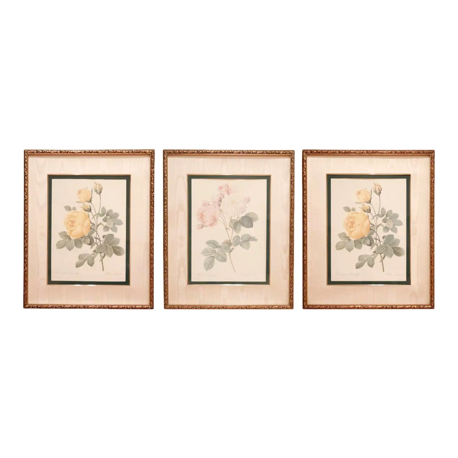 Framed Pierre-Joseph Redouté Prints - Set of 3 | Chairish
