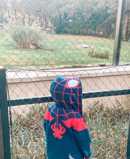 Spider-man sweater, fall jacket, toddler jacket, zip-up hoodie, toddler hoodie

#LTKbaby #LTKSeasonal #LTKkids