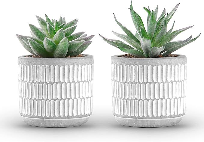Der Rose Set of 2 Succulents Plants Artificial Fake Plants for Living Room Bathroom Bedroom Aesth... | Amazon (US)