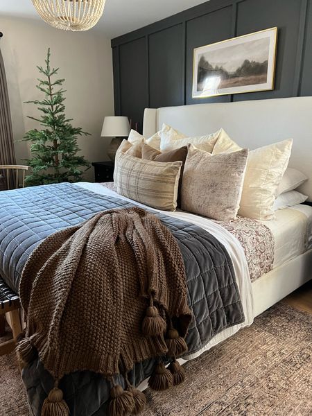A wintry bedroom 
Linen sheets
Linen duvet
Wayfair bed 
Pottery barn sheets
Linen bedframe
Framed art 
Moody bedroomm

#LTKhome #LTKSeasonal #LTKfamily