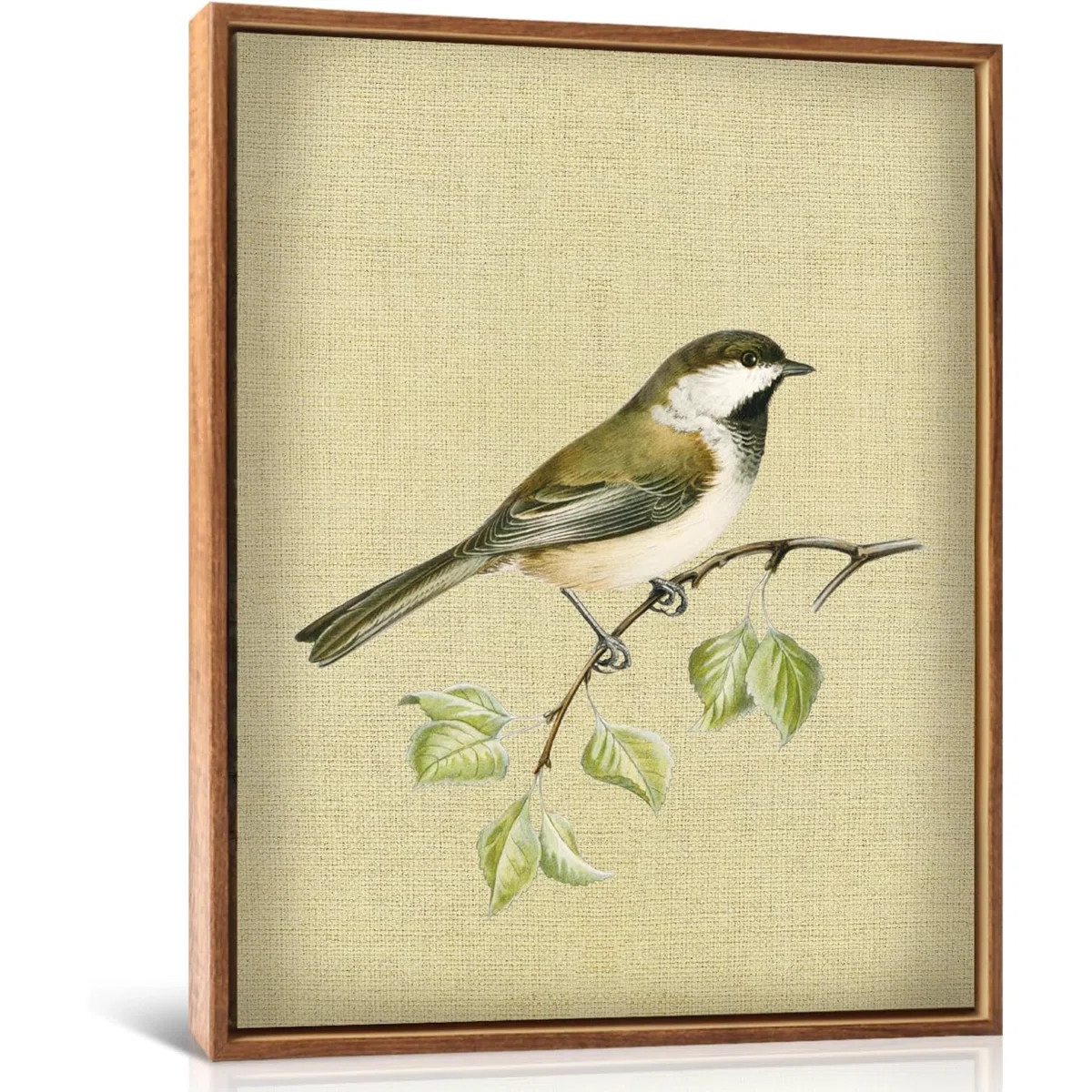 12”X16”Vintage Bird Prints Wall Art Leave Hummingbird Canvas Antique Painting Spring Birds Pa... | Wayfair North America