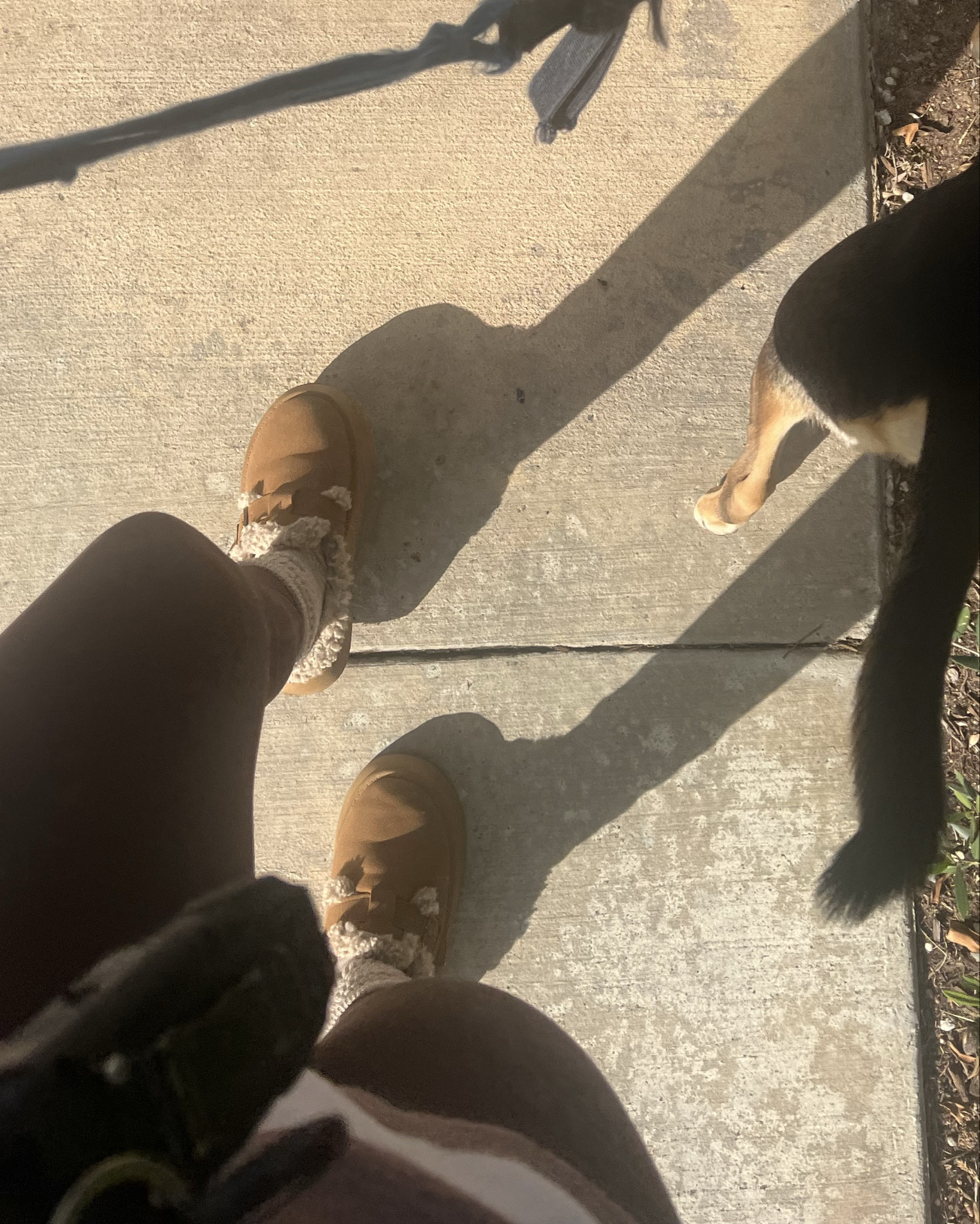 Cutest, comfiest, and high quality slippers you won’t ever take off. They make every single outfit look cute especially with jeans. I get so many compliments on these every single day that I wear them. Yes, I wear them every single day. They are that comfy and cute. I don’t know how they do not get dirty or wet stains for 21 bucks. These are an absolute no-brainer. Someone actually asked me if these were Chloe. Like these look expensive feel expensive, but absolutely slay with a bargain price. They are true to size absolute must have.

#LTKShoeCrush #LTKWorkwear #LTKSeasonal
