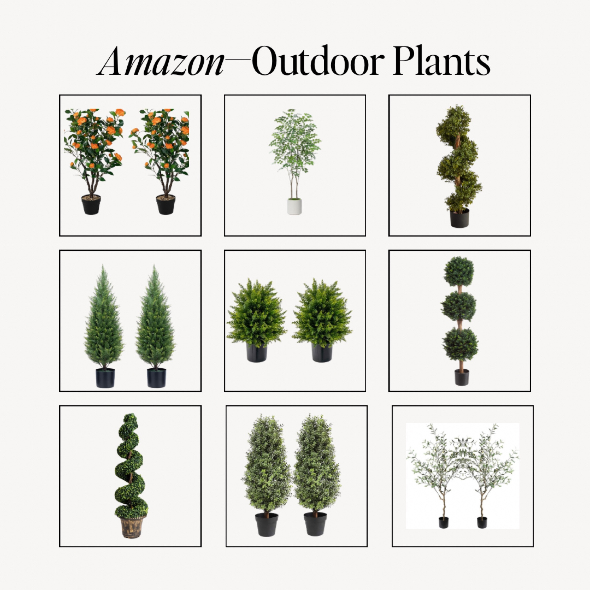 Outdoor plants for your front door!