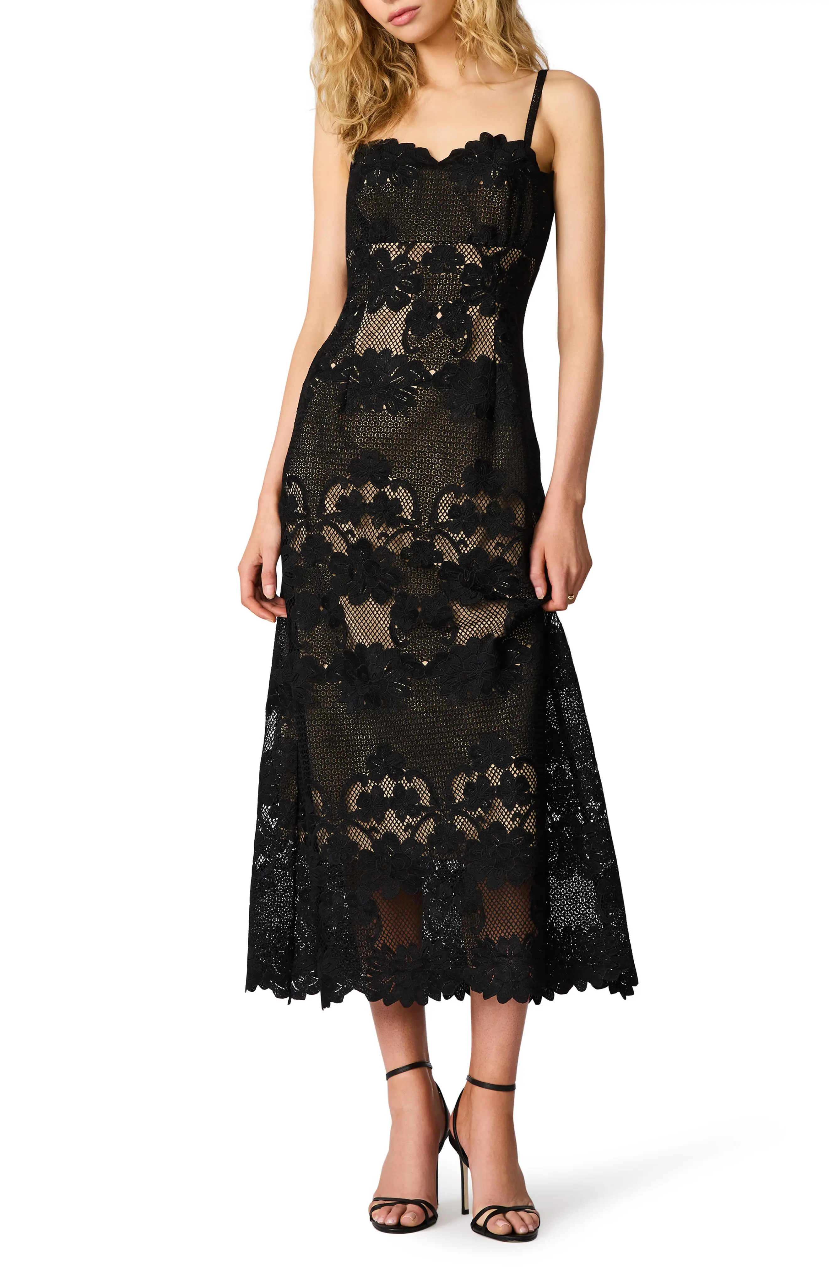 Steve Madden Willow Scalloped Floral Lace Midi Dress (Women) | Nordstrom | Nordstrom
