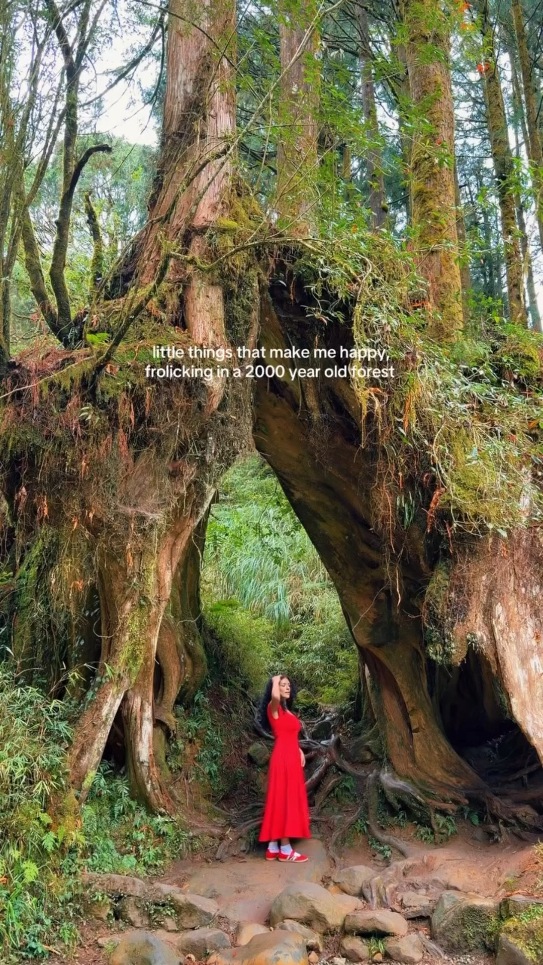 Just little moments like this… that’s everything to me 🌿❤️

#naturelovers #forestvibes #slowmoments

#LTKdayinmylife #LTKTravel #LTKstorytime