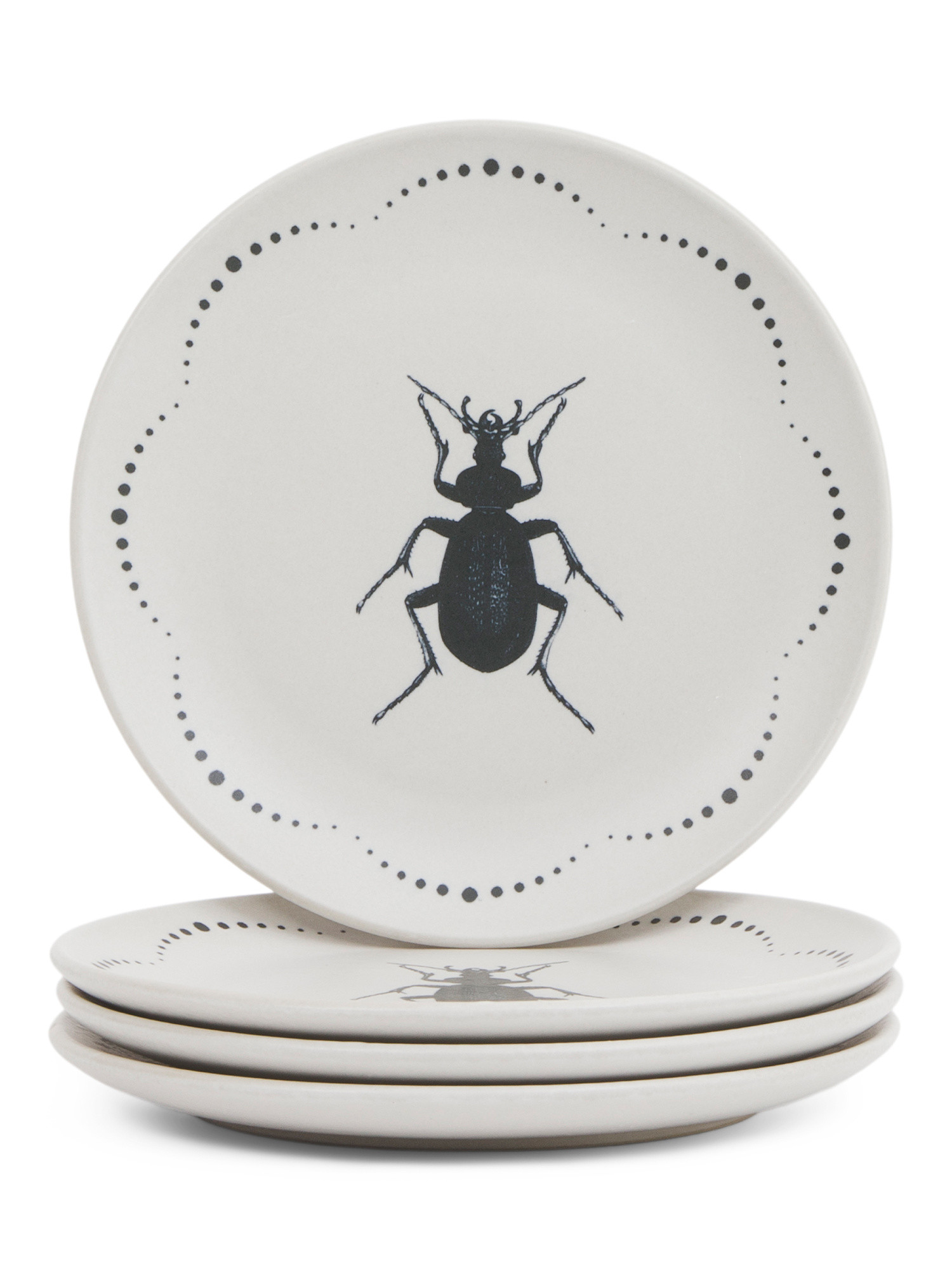 4pk 8in Insect Salad Plates | TJ Maxx