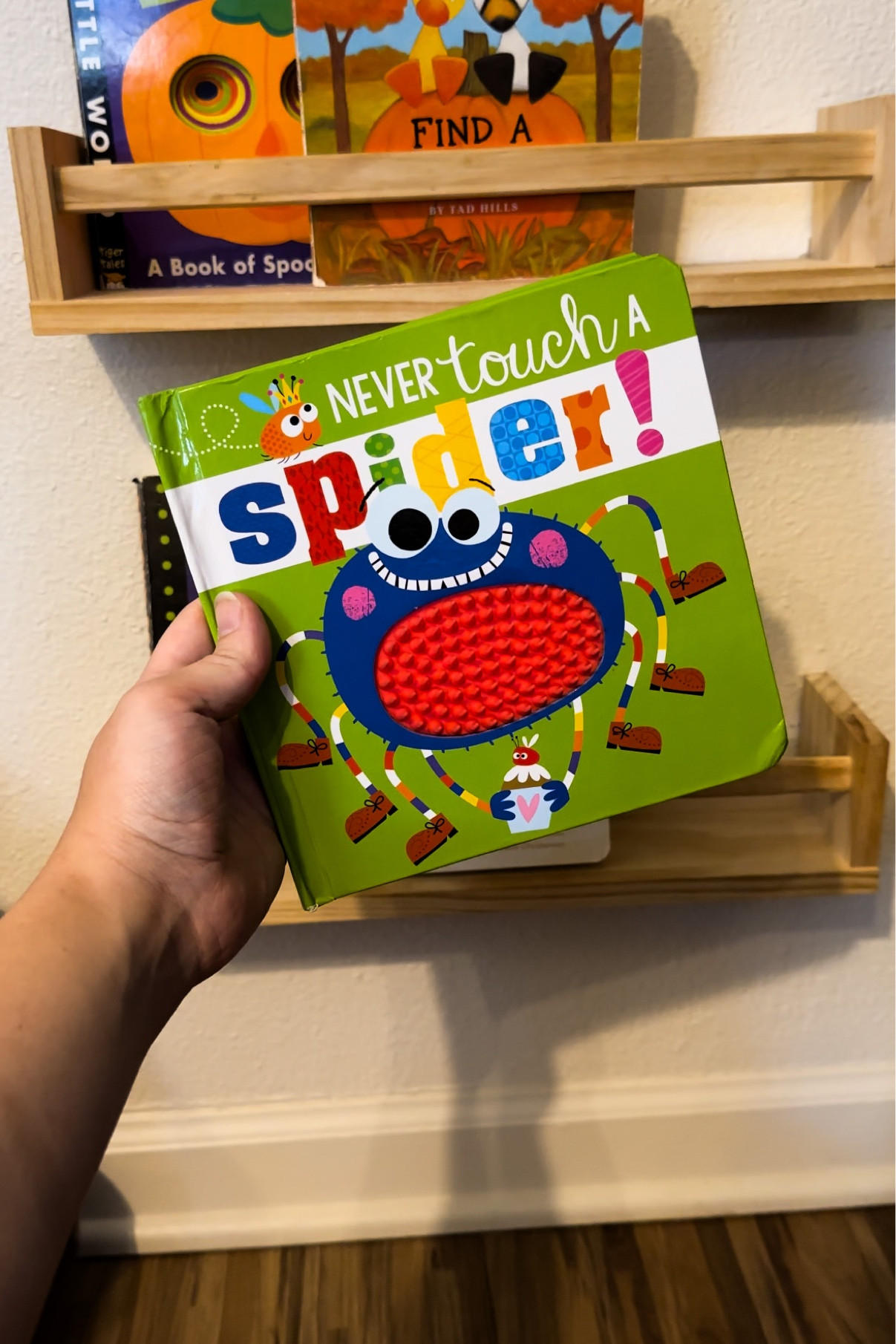 Never Touch a Spider touch and feel board book

#LTKkids #LTKHalloween #LTKSeasonal