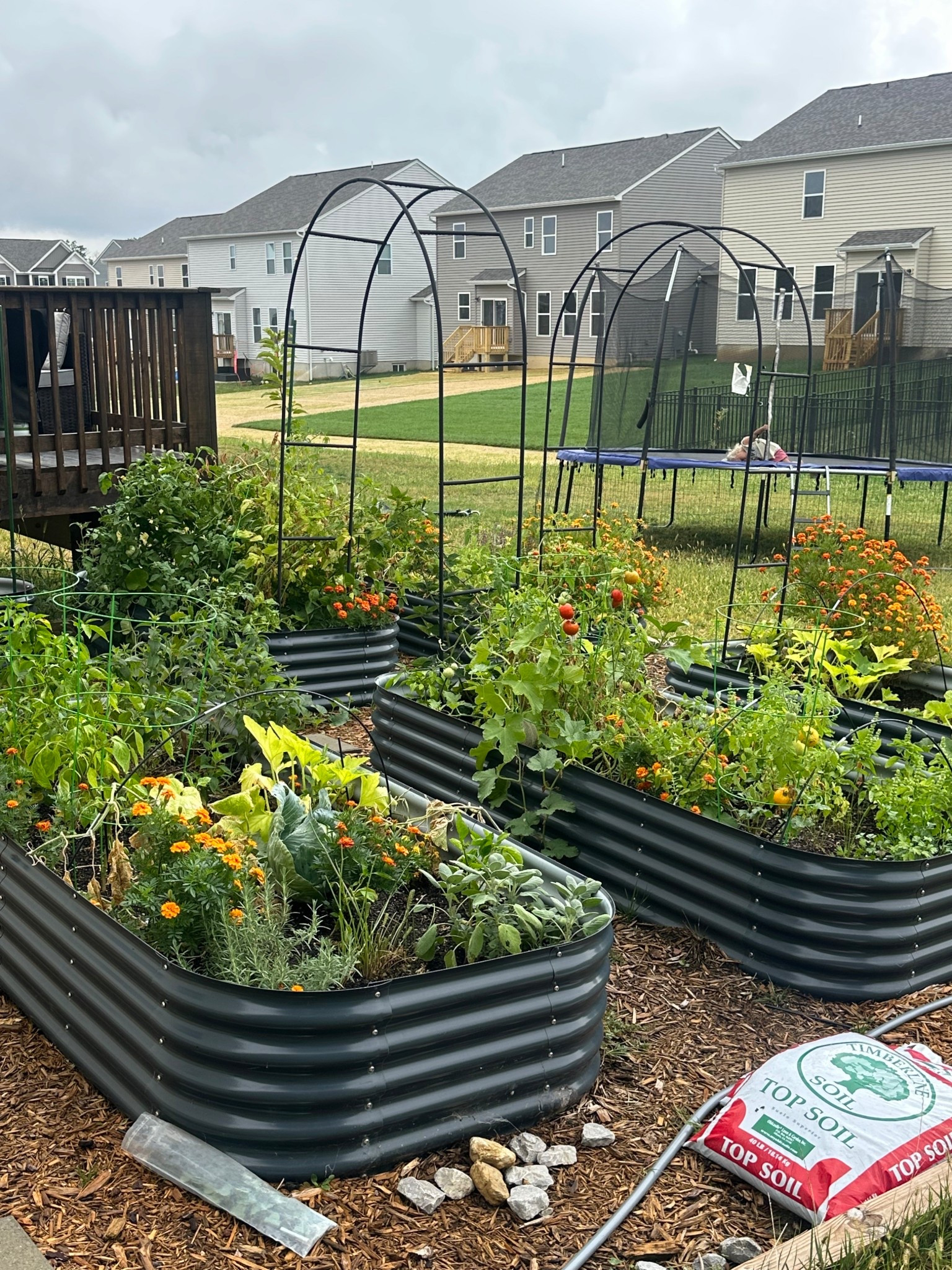 My garden. So excited for this next year. 

#LTKActive #LTKSeasonal #LTKmomlife