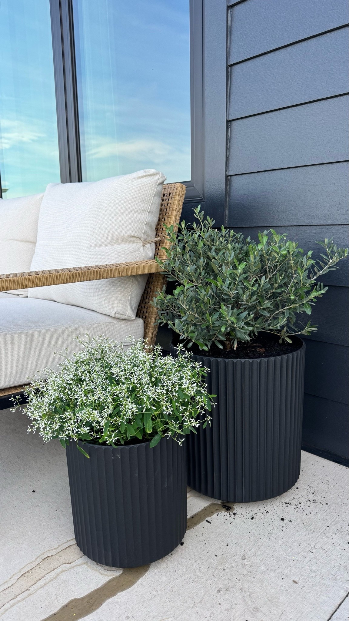 Loving these modern planters from Walmart!

#LTKHome #LTKSeasonal