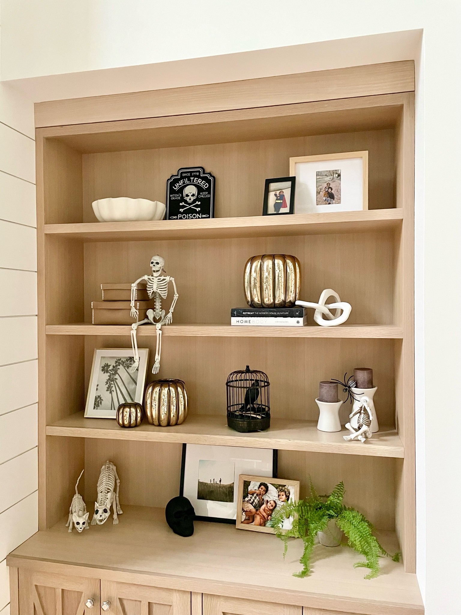 Halloween Shelfie

#LTKSeasonal #LTKHalloween #LTKhome