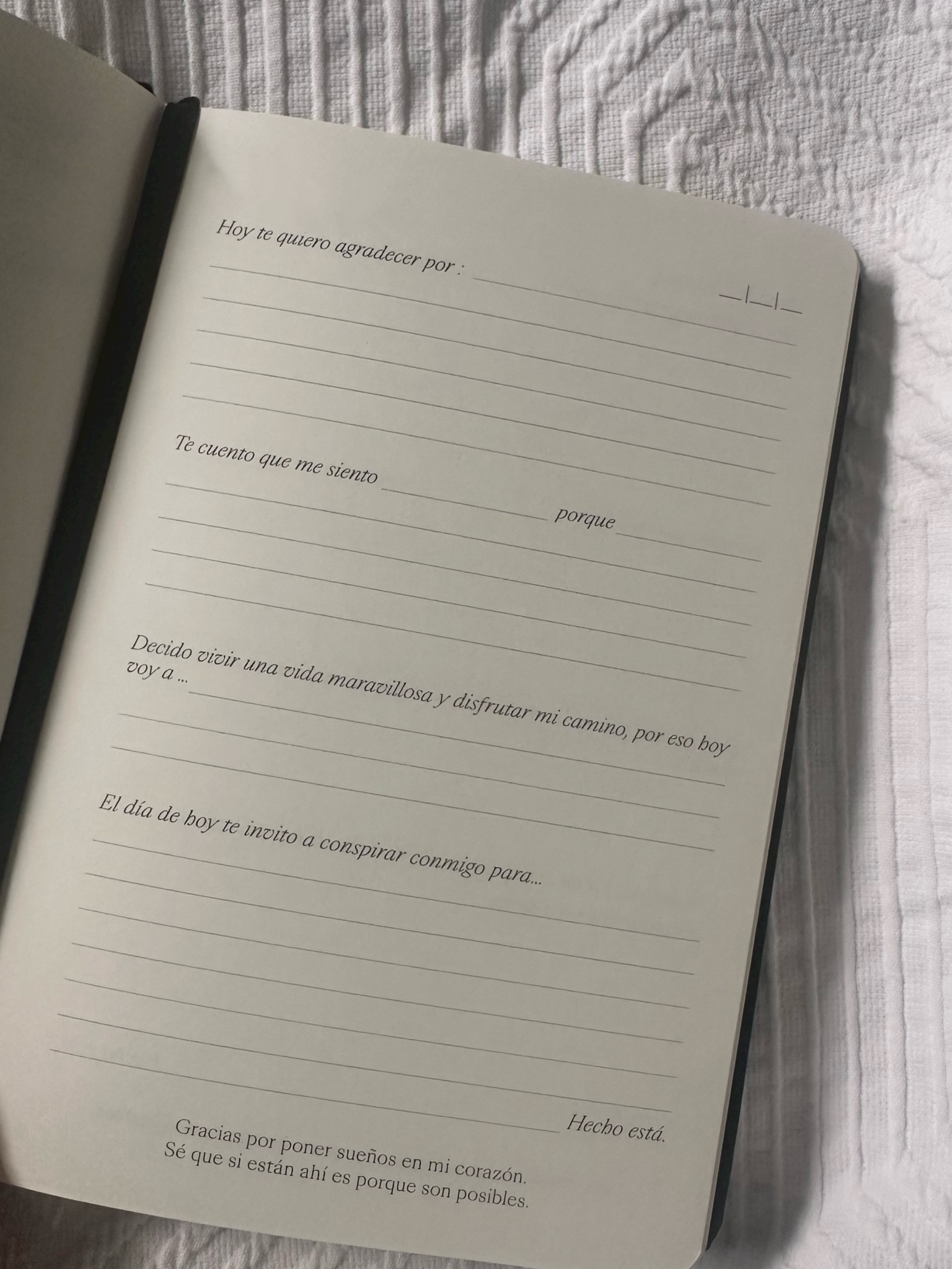 journal ✍🏻✨🪄
