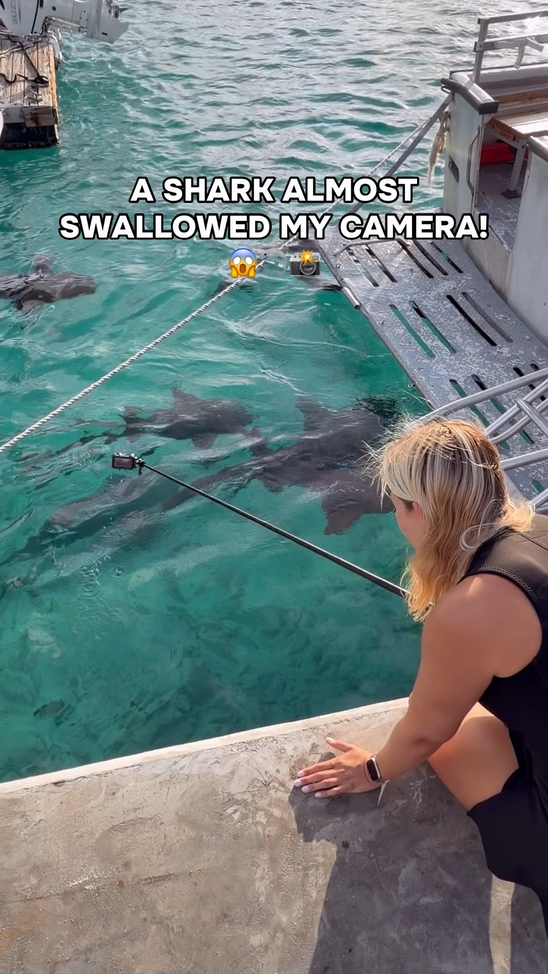Cannot believe we got to see the inside of a shark’s mouth though 😅 Burnt Toast Theory resulted in my camera almost getting eaten 😂

#sharks #diving #bahamas #bimini #shark

#LTKSwim #LTKActive #LTKTravel
