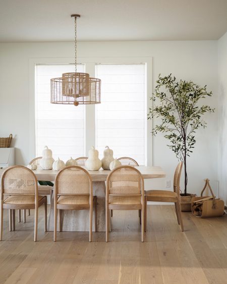 Fall tablescape, fall dining room decor, autumn, seasonal, faux olive tree, cane chair, travertine dining table, cane dining chair

#LTKSeasonal #LTKhome #LTKfamily