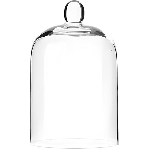 7.5" Tall Handmade Glass Cloche, Thick & Sturdy, Dia 5"xH 7.5", For Terrarium, Plants, Trinkets, ... | Amazon (US)