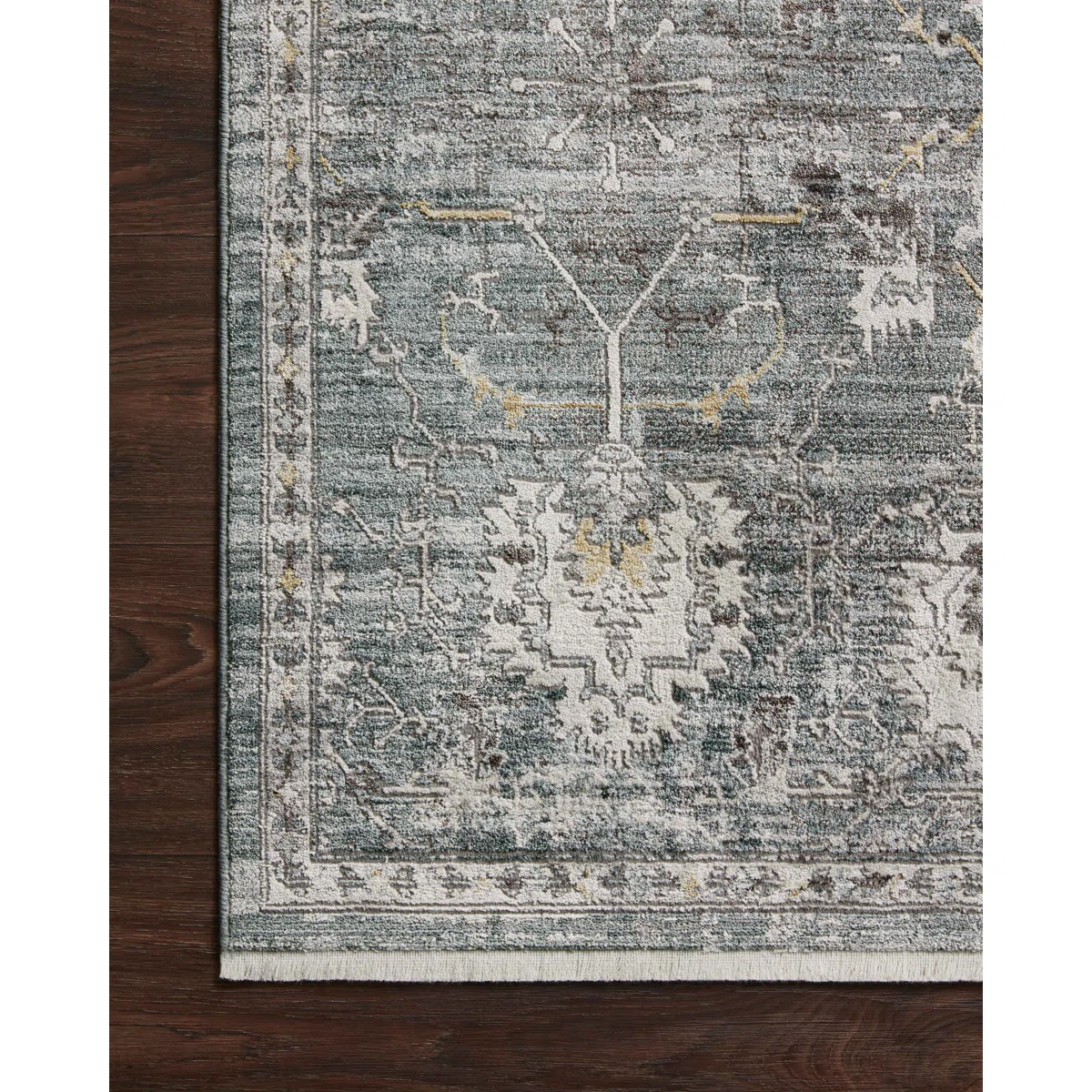 Bonney Oriental Indoor Rug | Wayfair North America