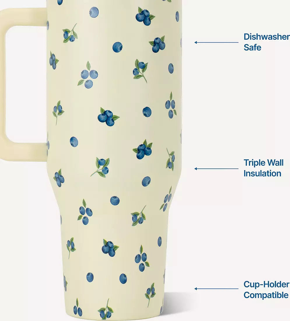 HYDROJUG 40 oz. Traveler Tumbler - Summer Colors | DICK'S Sporting Goods