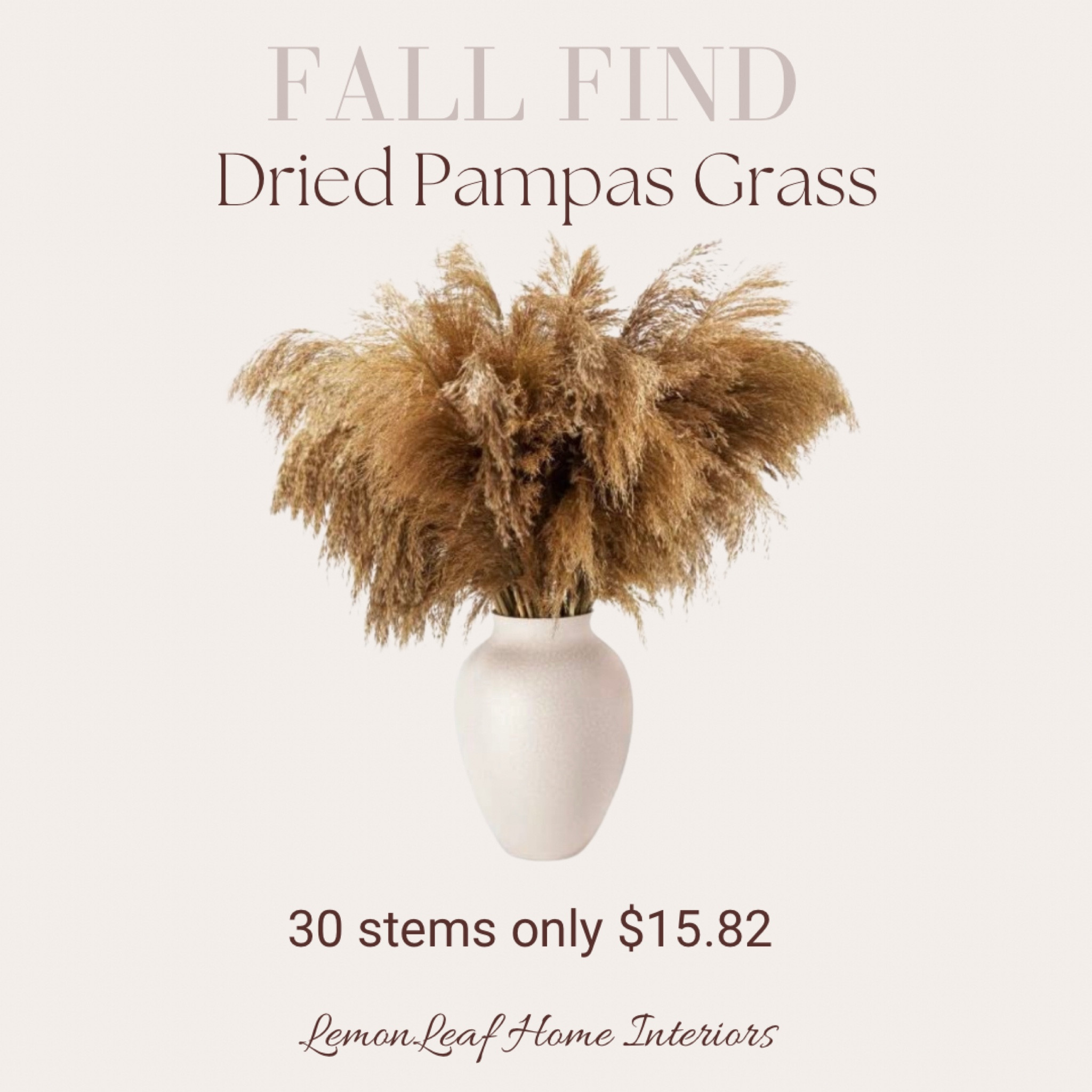 Amazon find. Dried pampas grass. 30 pieces only $16

Fall stem, dried florals, Amazon find, found it on Amazon, daily find, daily deals, seasonal decor, fall decor, home decor 



#LTKhome #LTKunder50 #LTKSeasonal