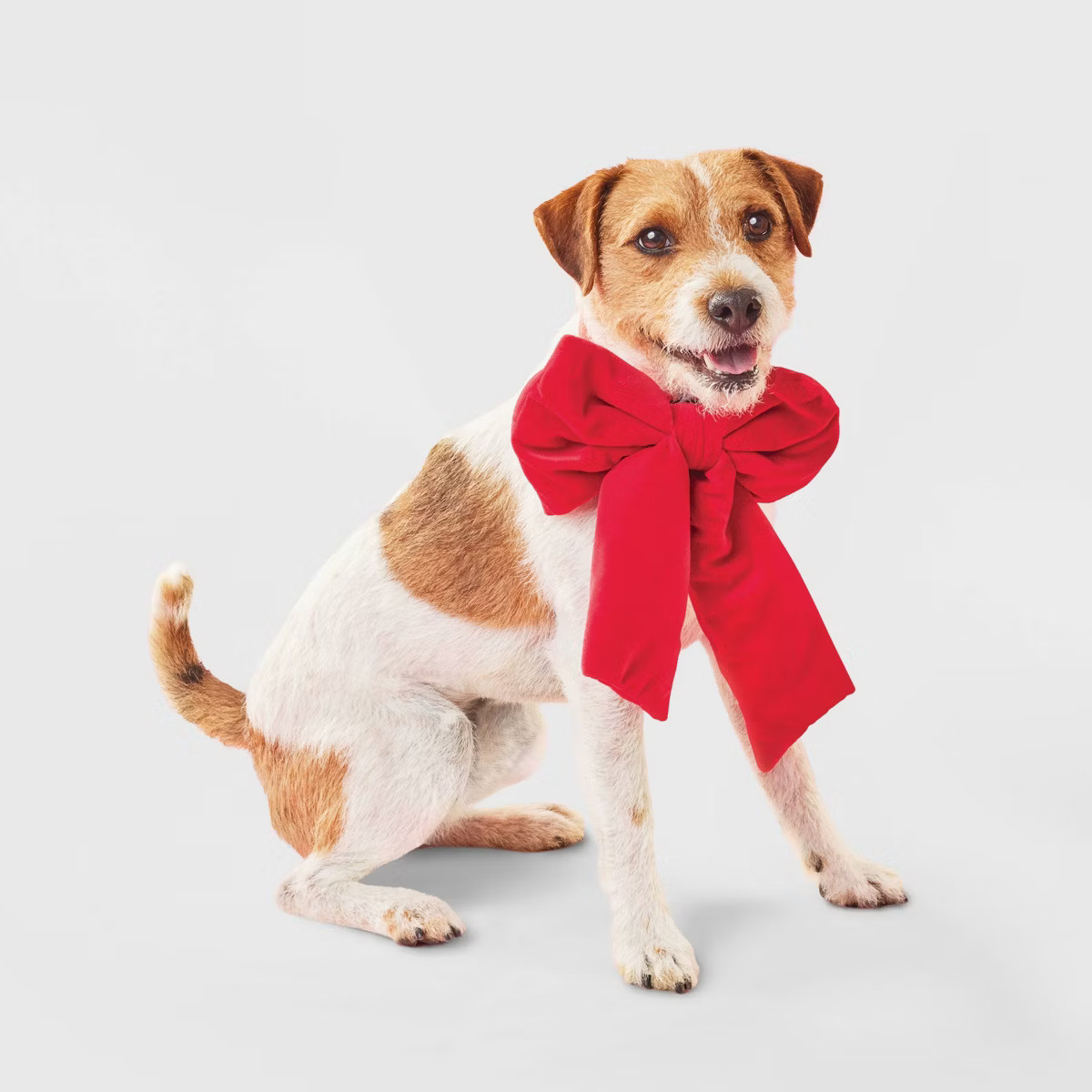 Giant Bow Collar Slide Dog Hair Accessories - Boots & Barkley™ One Size Fits Most | Target