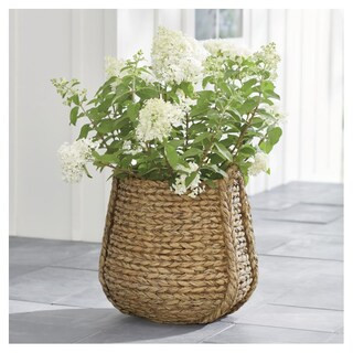 Carved Woven Planter | Grandin Road | Grandin Road