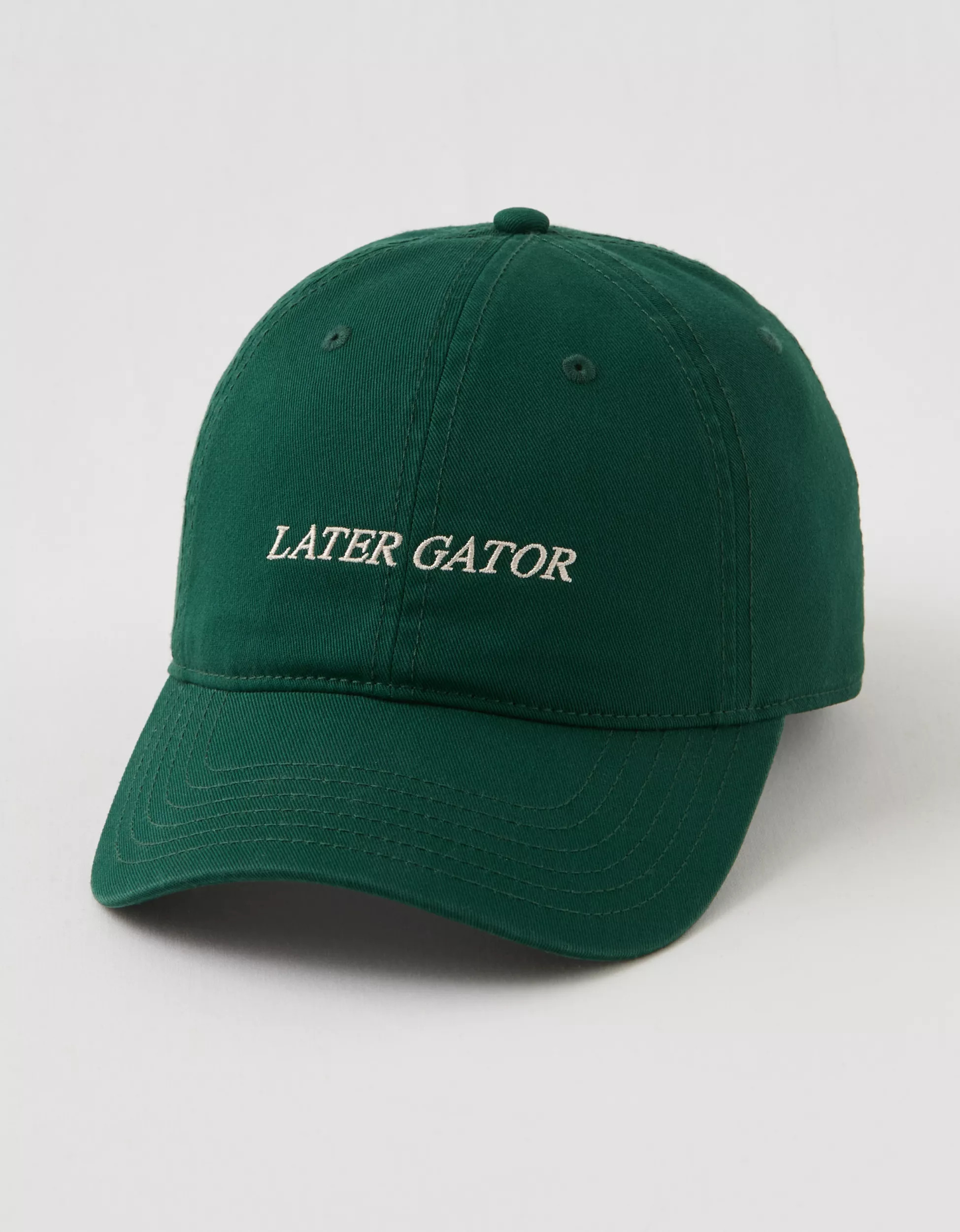 Aerie Graphic Baseball Hat | Aerie