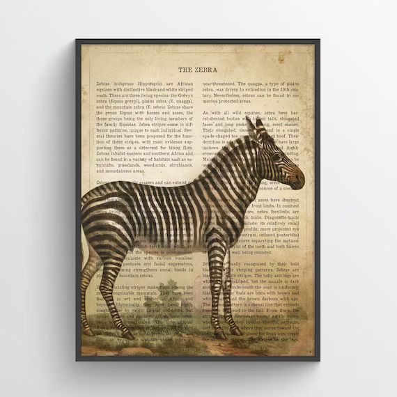 Vintage Zebra Print, Safari Painting, Mountain Zebra Illustration, Zebra Art, Antique Animal Draw... | Etsy (US)