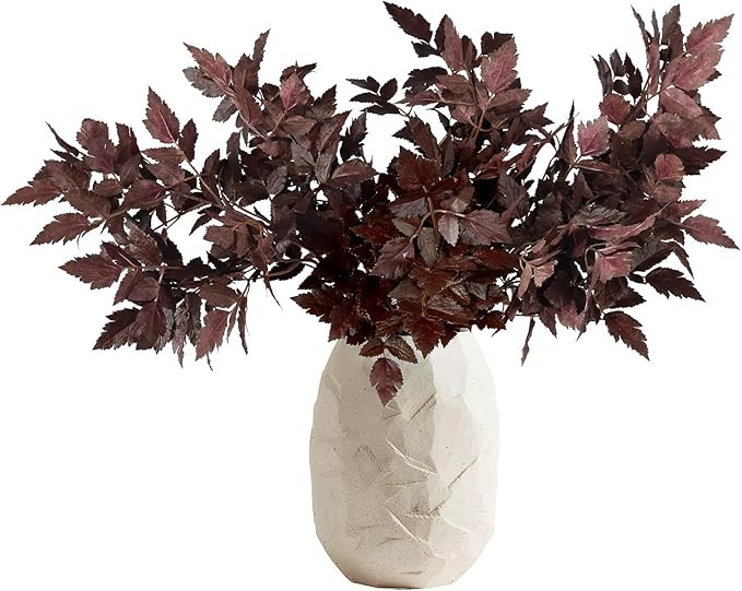 WBHome 6 Pack Artificial Cimicifuga Plant Leaf Spray Faux Plum Cimicifuga Ramosa Leaf Branch (24 ... | Amazon (CA)