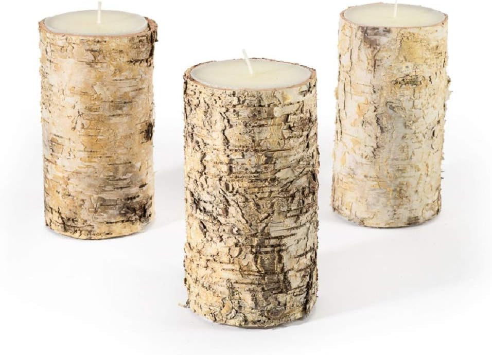 Serene Spaces Living Birch Bark Candle, Set of 3 Medium, Pillar Candle, Ideal for Weddings, Parti... | Amazon (US)