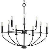 Leyden Collection 9-Light Matte Black Farmhouse Chandelier Light | Amazon (US)