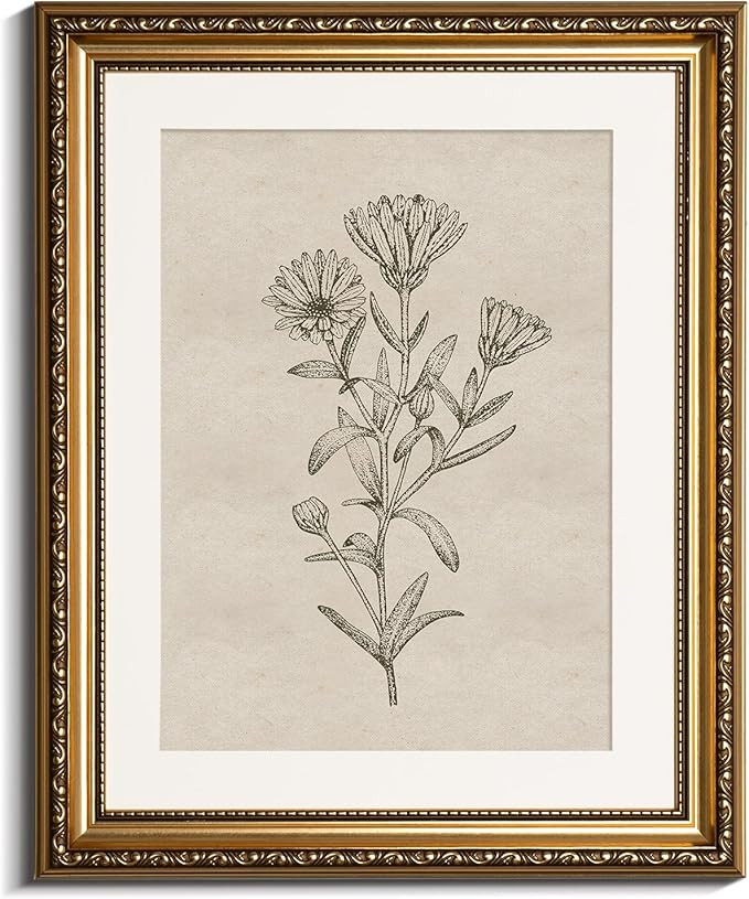 InSimSea Gold Picture Framed Wall Art, Living Room Bathroom Vintage Minimalist Botanical Pictures... | Amazon (US)