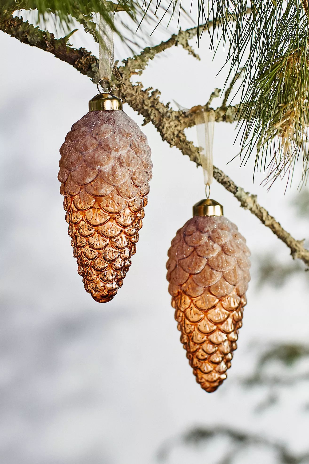 Snow Dusted Pine Cone Ornaments, Set of 2 | Anthropologie (US)