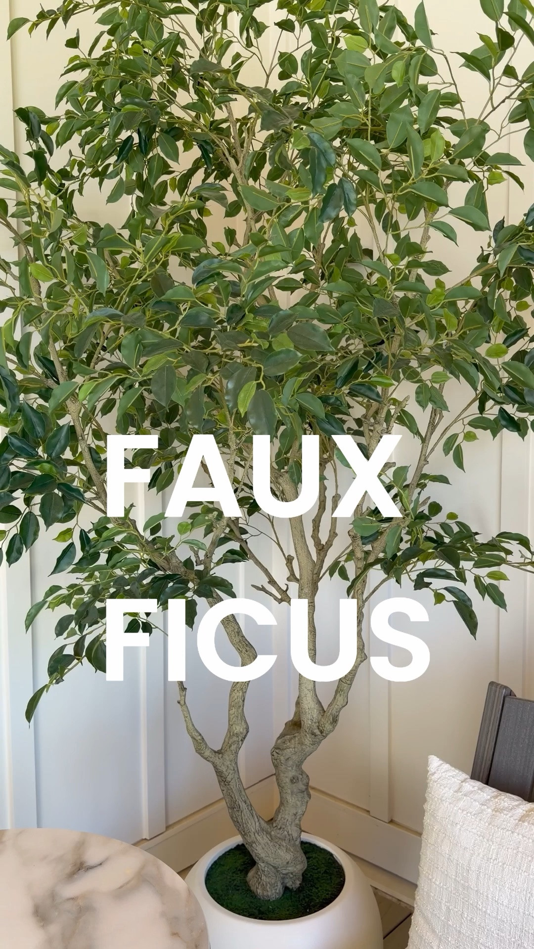 #Ad Add life to your covered patio with Wayfair's faux ficus trees during their Memorial Day Clearance 🌿 Get up to 70% off plus fast and free shipping over $35. The easiest way to make an outdoor space feel finished without the upkeep.

@wayfair #wayfairpartner #wayfair

#LTKHome