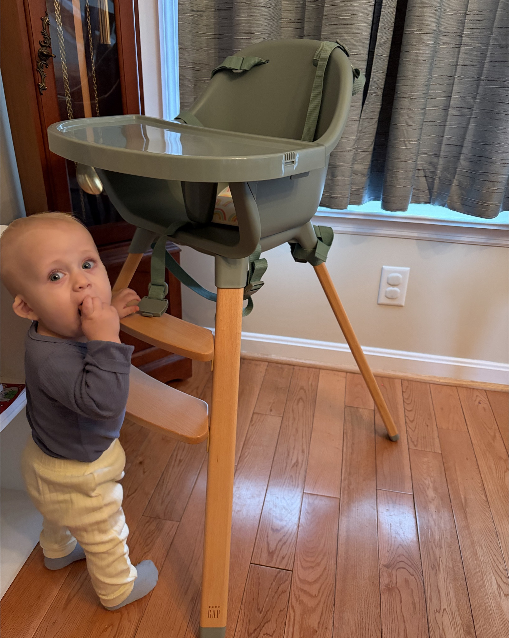 Modern Highchair 


#LTKBaby #LTKmomlife #LTKKids