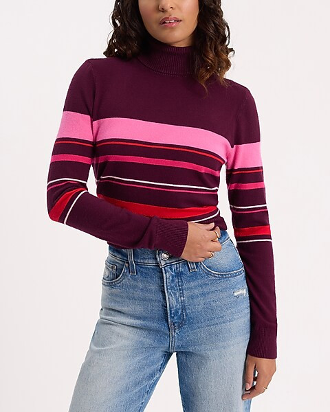Fitted Striped Turtleneck Sweater | Express
