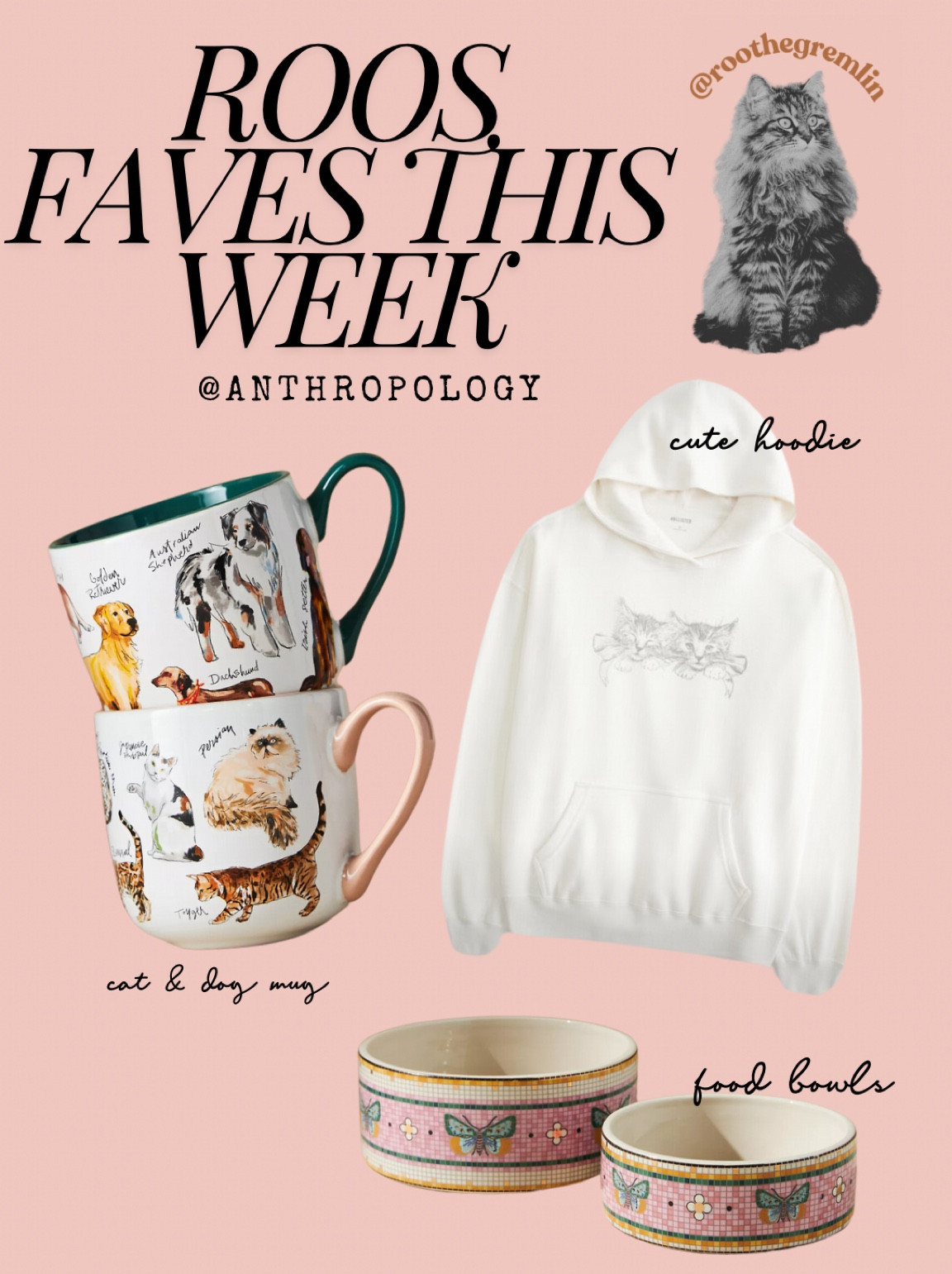 cute finds for animal lovers ☺️🤍 anthropology finds & holister! 

#LTKFindsUnder50 #LTKFindsUnder100 #LTKHome