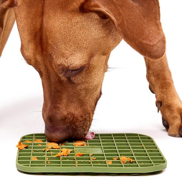 DOG by Dr Lisa Dog Lick Mat | The Container Store