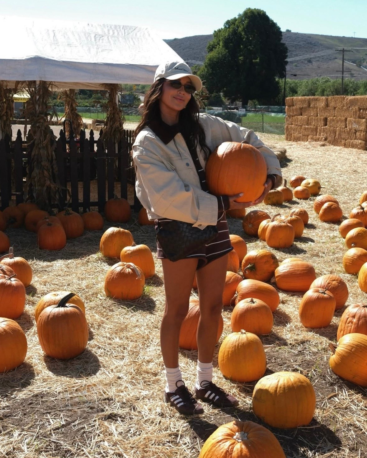 Pumpkin patch ready. 🎃

#LTKHalloween