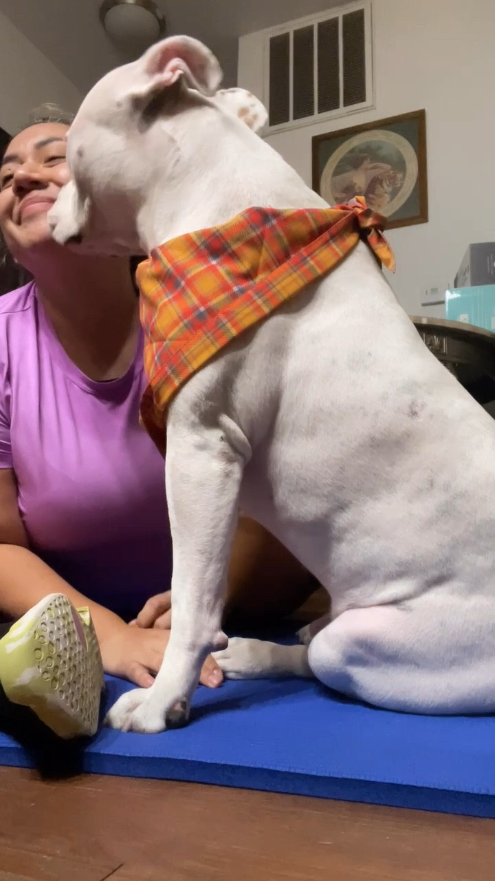 Cuddles with this cutie after morning stretches before we walk 🥰 🐾

#LTKActive #LTKFitness #LTKOver40