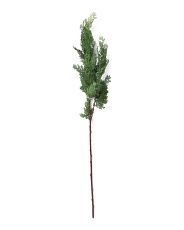 Cedar Greenery Branch | TJ Maxx