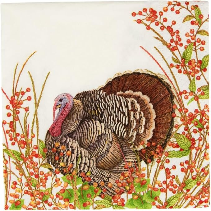 Caspari Turkey And Berries Cocktail Napkins - 20 Per Package, 2 Packs | Amazon (US)