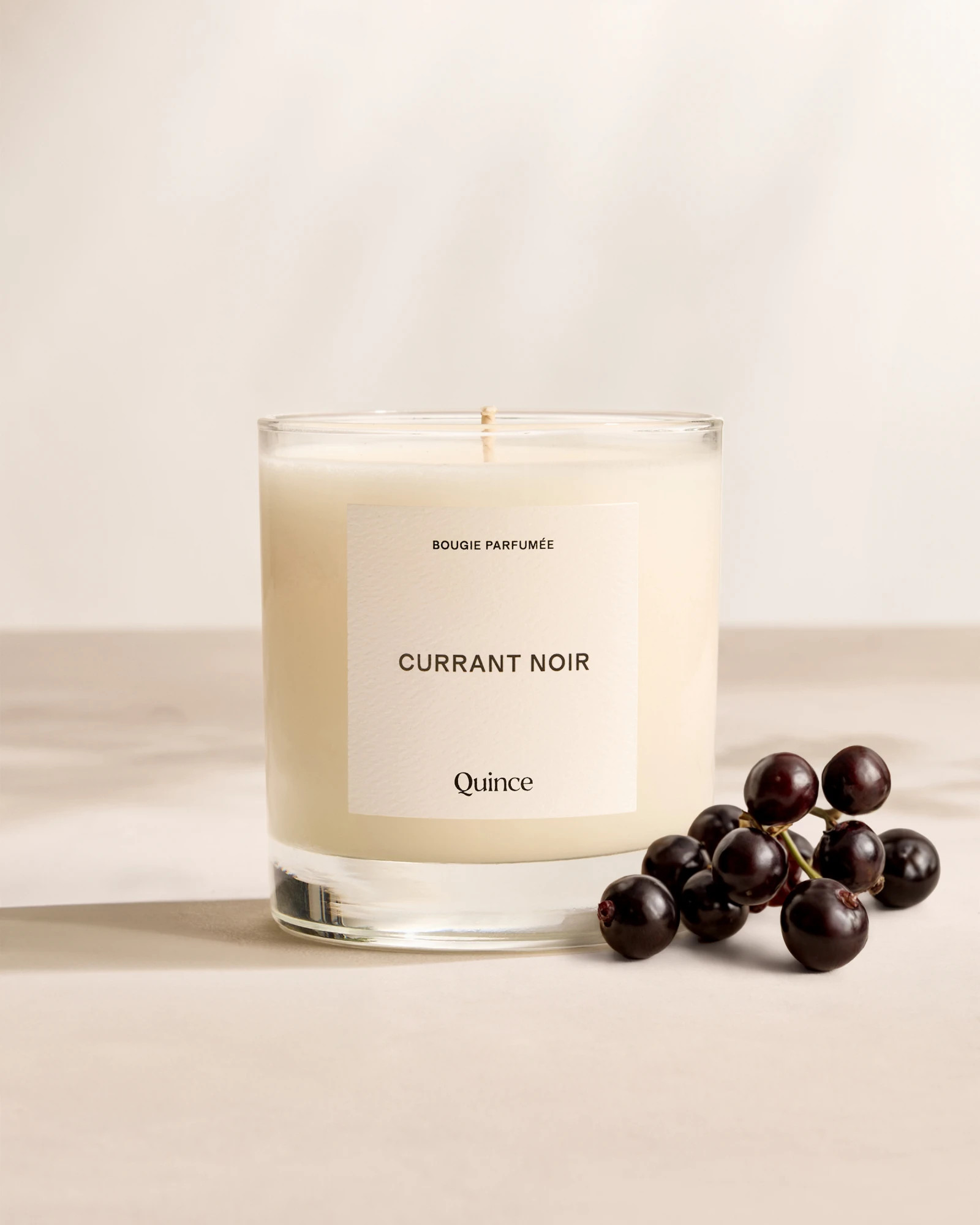 Currant Noir Candle in No Color | Quince