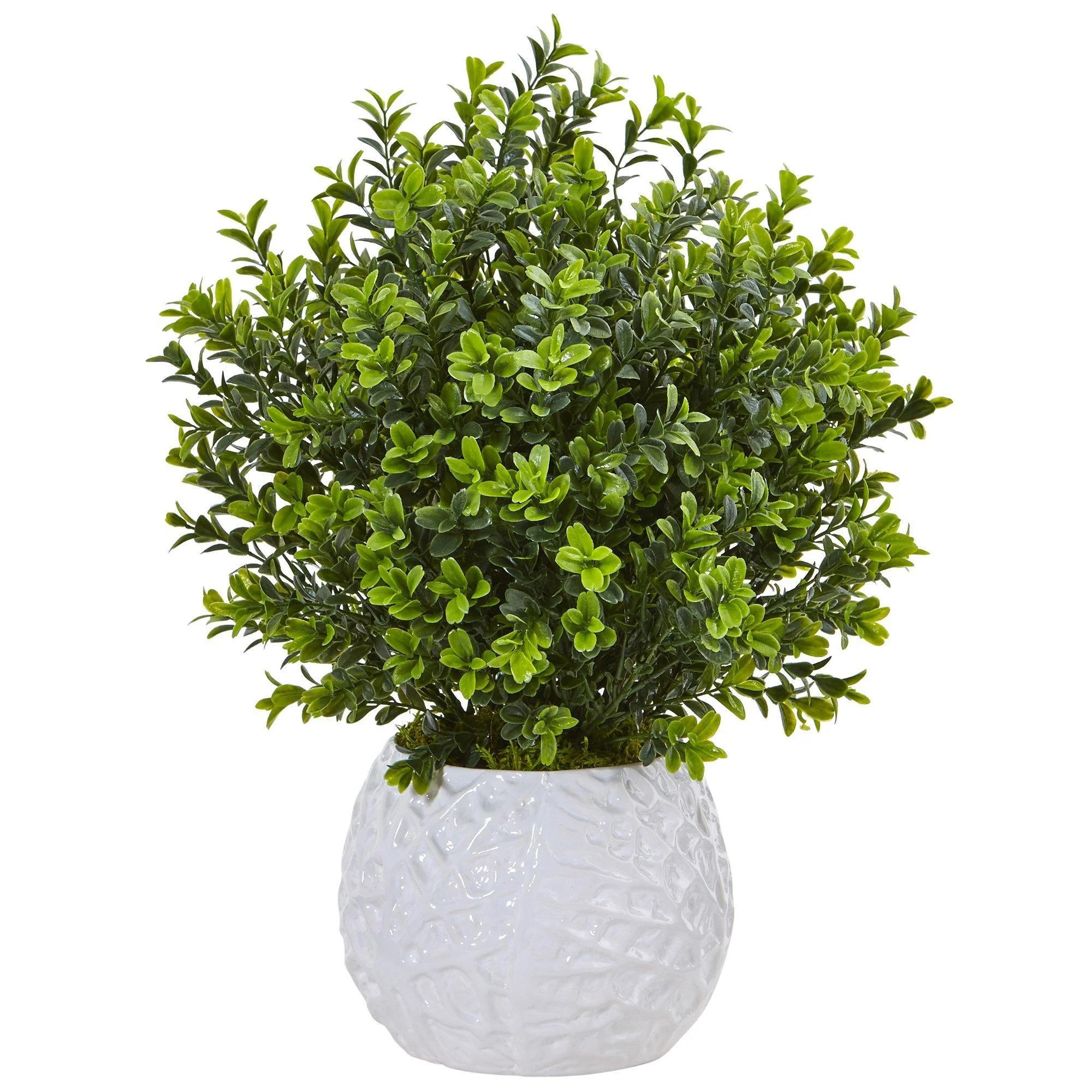 Boxwood in White Vase (Indoor/Outdoor) | Nearly Natural | Nearly Natural
