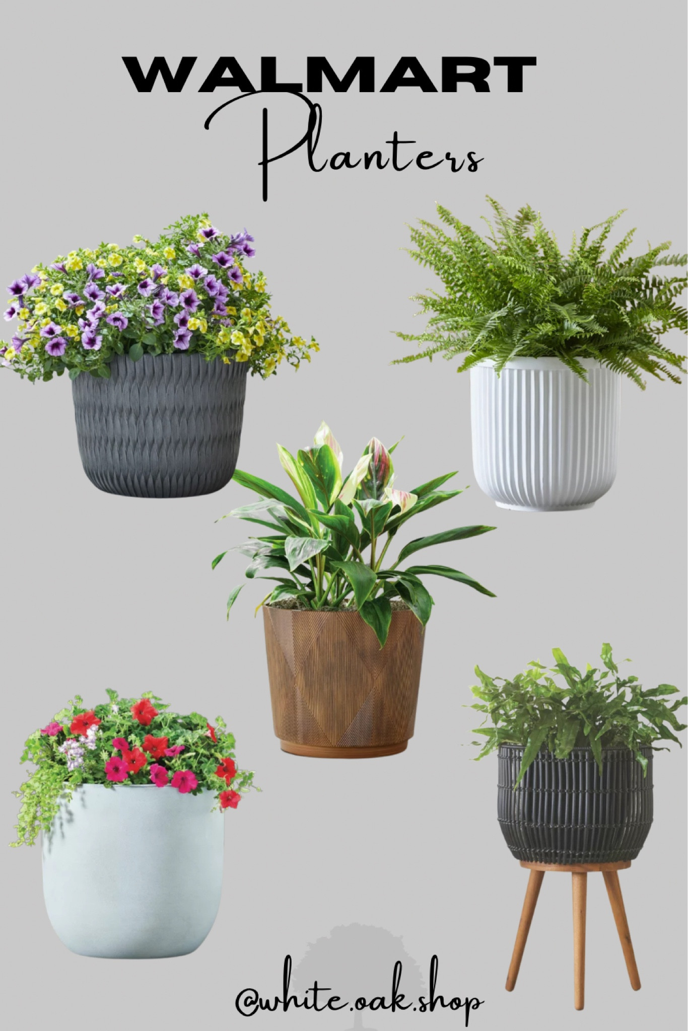 Walmart Planters | Outdoor | Porch Decor | Spring Refresh

#LTKfindsunder50 #LTKhome #LTKSeasonal
