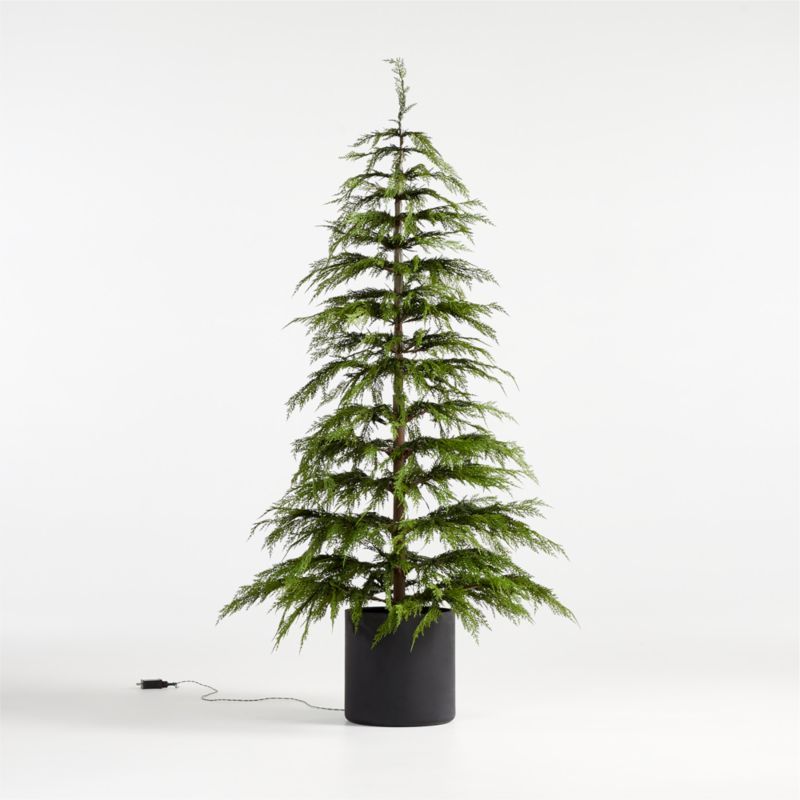Faux Potted Hemlock Large Pre-Lit LED Christmas Tree with White Lights 6' + Reviews | Crate & Bar... | Crate & Barrel