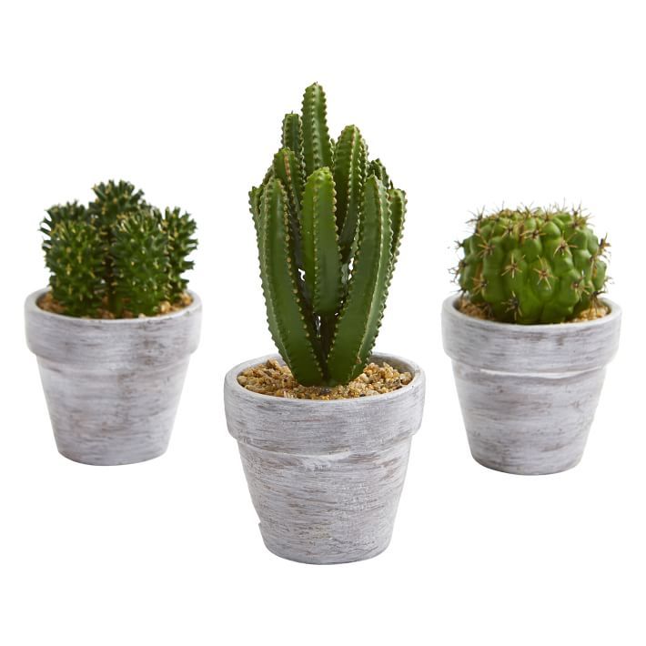 8&amp;quot; Cactus Faux Plant | Pottery Barn Teen