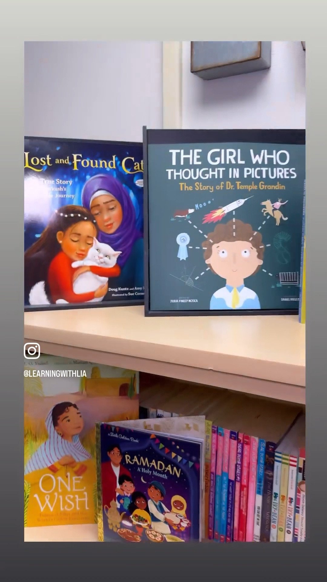 Autism and Arab representation books 

#LTKGiftGuide #LTKxTarget