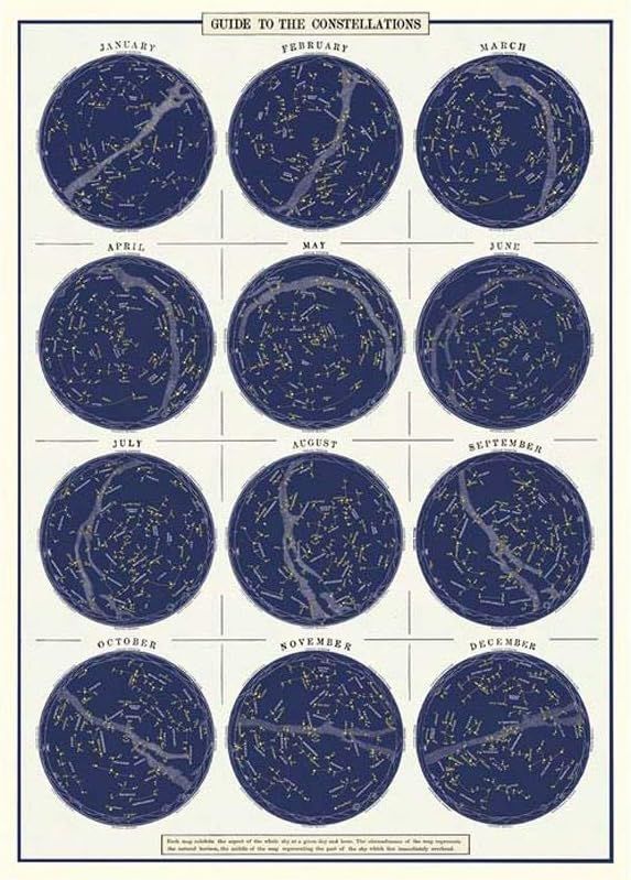 Cavallini & Co. Decorative Paper Sheet 20"x28"- Constellations | Amazon (US)