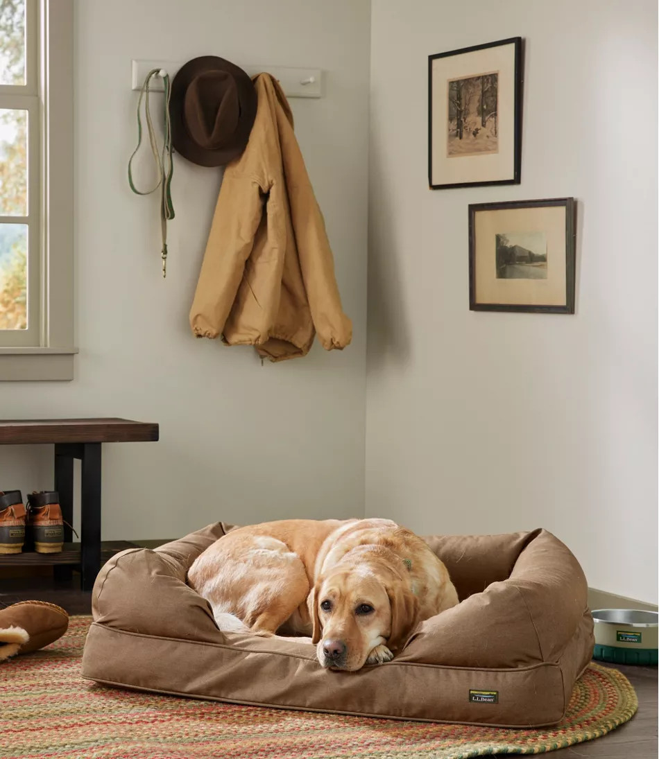 Premium Therapeutic Dog Bed Couch | L.L. Bean