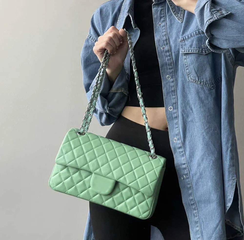 French Womens Classic Double Flap Quilted Lambskin Bags Apple Green Early Spring Luxury Purse Sil... | DHGate